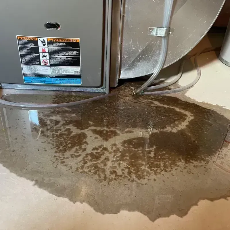 Appliance Leak Cleanup in Shelbyville, MO